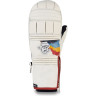 Варежки DAKINE POINTER MITT HCSC RAINBOW Размер M 10001995 (0610934301182)